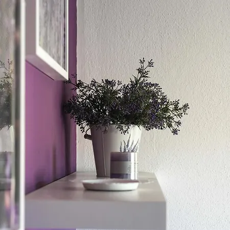 Lavanda * Pakoštane