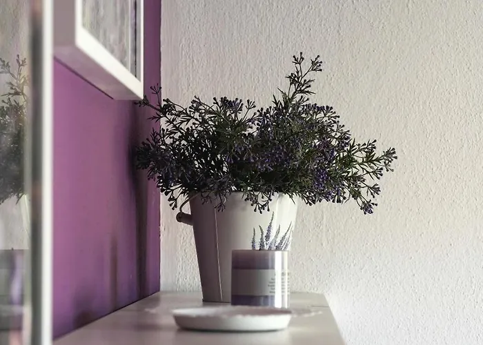 Lavanda * Pakoštane